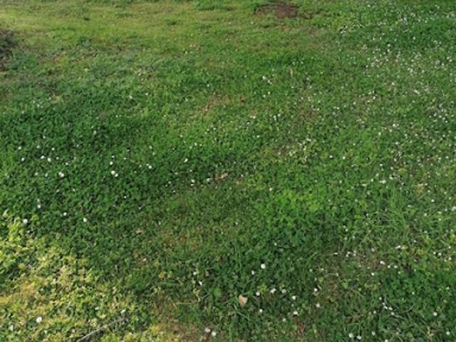 Vente Terrain 500 m2 Baud