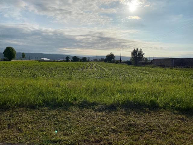 Vente Terrain 500 m2 Boeil Bezing