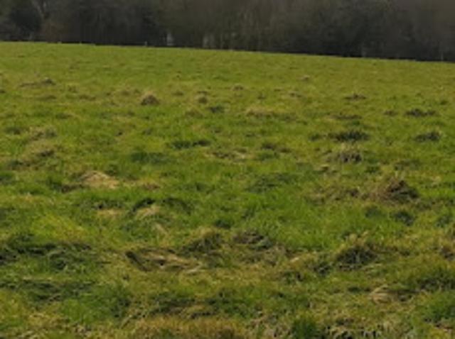 Vente Terrain 500 m2 Brunembert