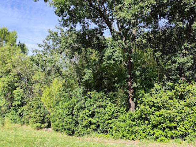Vente Terrain 500 m2 Crespian