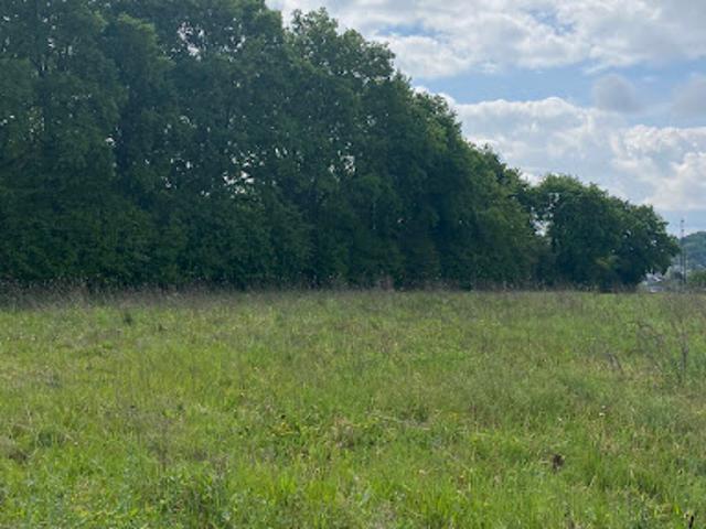 Vente Terrain 500 m2 Désandans
