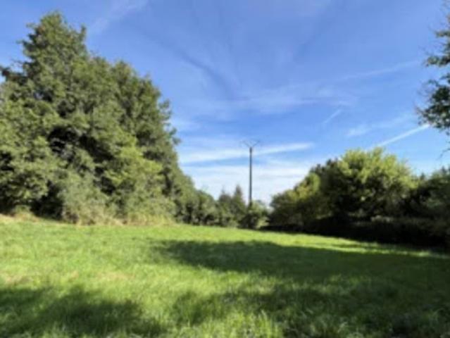 Vente Terrain 500 m2 Ferrière la Grande
