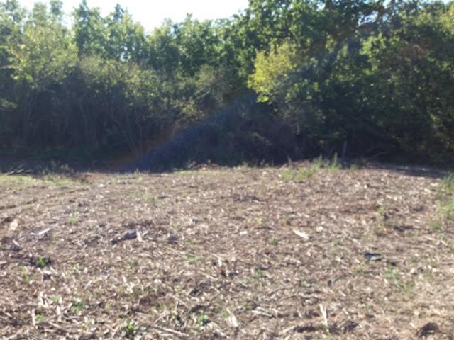 Vente Terrain 500 m2 Fontenilles