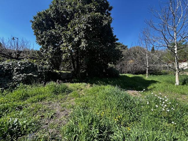 Vente Terrain 500 m2 Flayosc