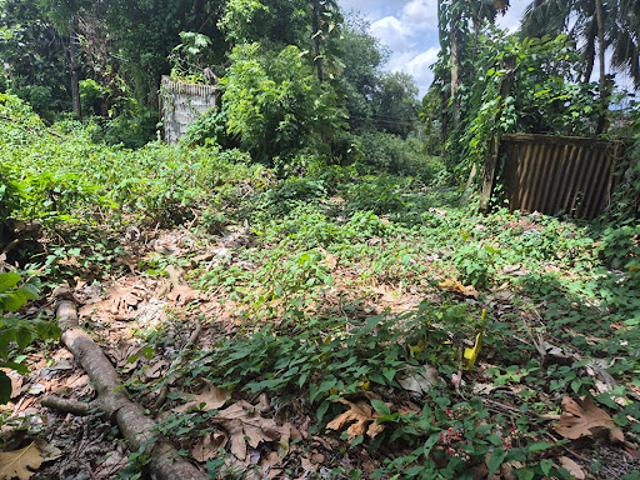 Vente Terrain 500 m2 Le lamentin