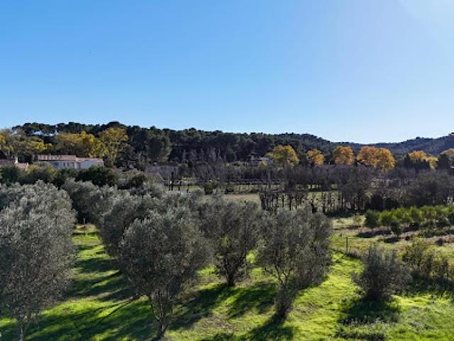 Vente Terrain 500 m2 Mas Blanc des Alpilles