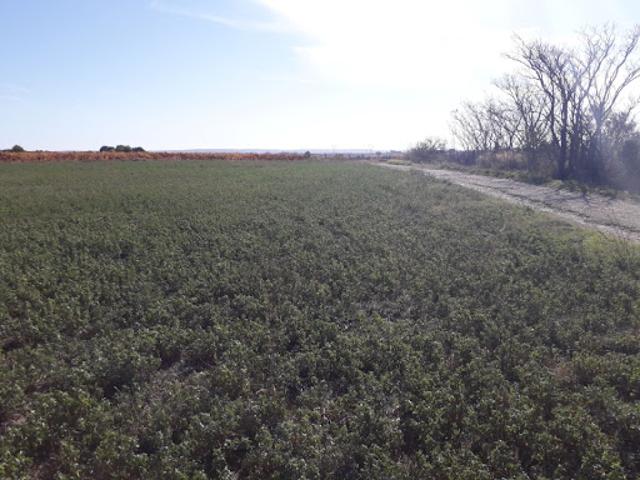 Vente Terrain 500 m2 Rieux Minervois