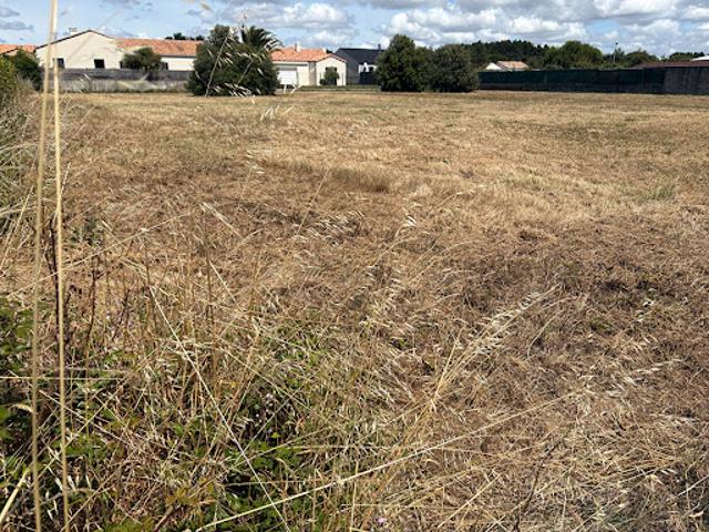 Vente Terrain 500 m2 Saint Gilles Croix de Vie