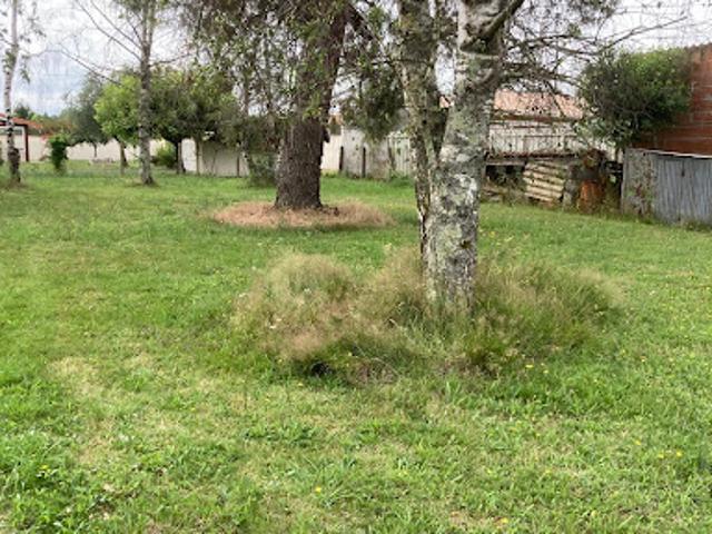 Vente Terrain 500 m2 Saint Loubès