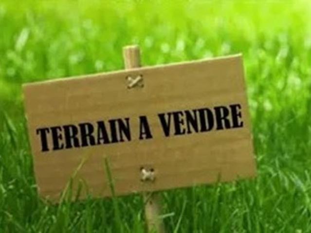 Vente Terrain 500 m2 Saint Romain en Gal
