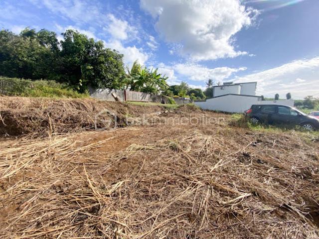 Vente Terrain 500 m2 Sainte Suzanne