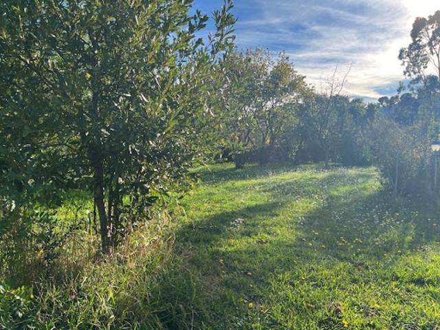 Vente Terrain 500 m2 Sollies pont