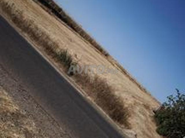Vente terrain