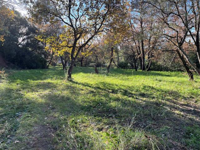 Vente Terrain 501 m2 Carnoules