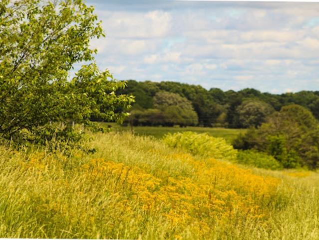 Vente Terrain 502 m2 Bethoncourt