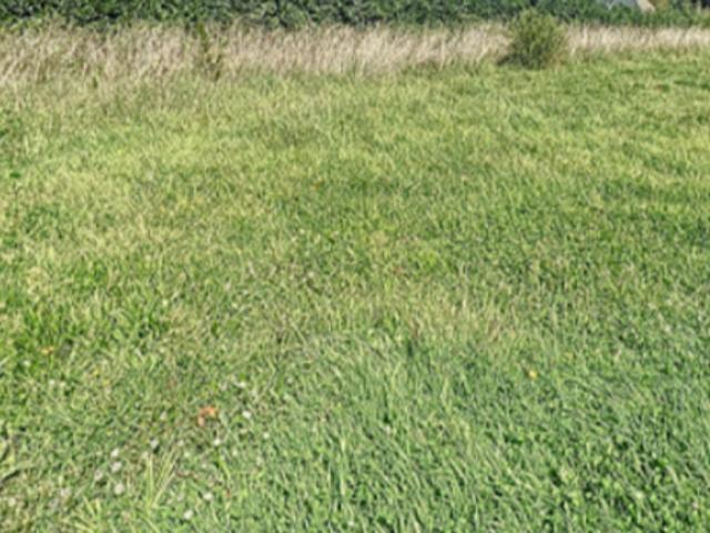 Vente Terrain 507 m2 Plonéis