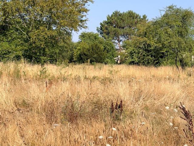 Vente Terrain 505 m2 Le Taillan Médoc