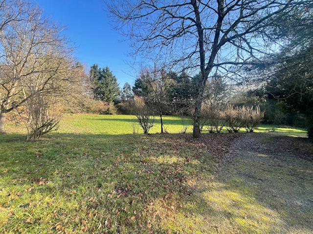 Vente Fond de commerce 5062 m2 Coulanges lès Nevers