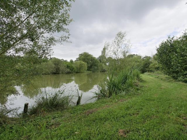 Vente Terrain 5062 m2 Saint Aubin d'Aubigné