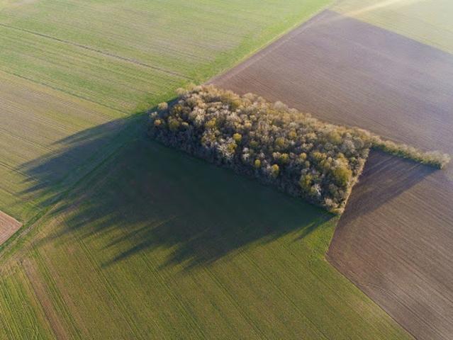 Vente Terrain 509 m2 Segré