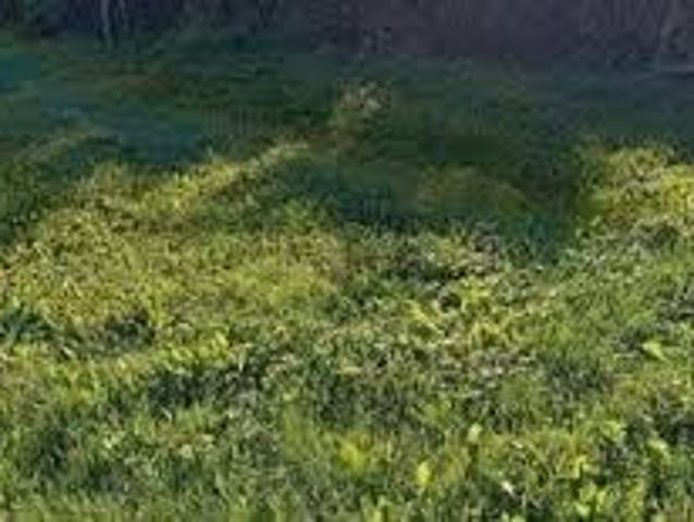 Vente Terrain 510 m2 Aubagne