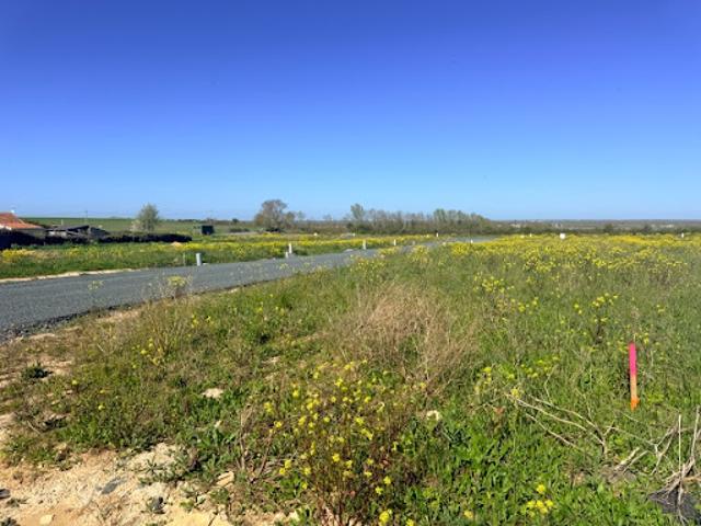 Vente Terrain 510 m2 Auzay