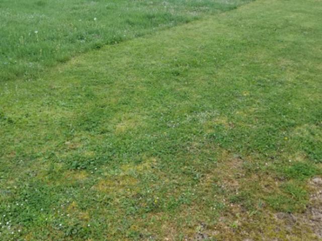 Vente Terrain 510 m2 Créon