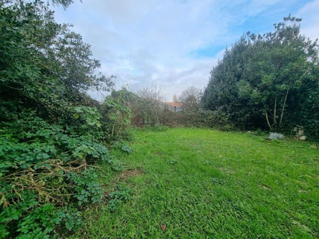 Vente Terrain 510 m2 Sainte Marie de Ré