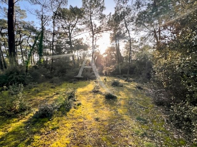 Vente Terrain 5117 m2 Saint Jean de Monts