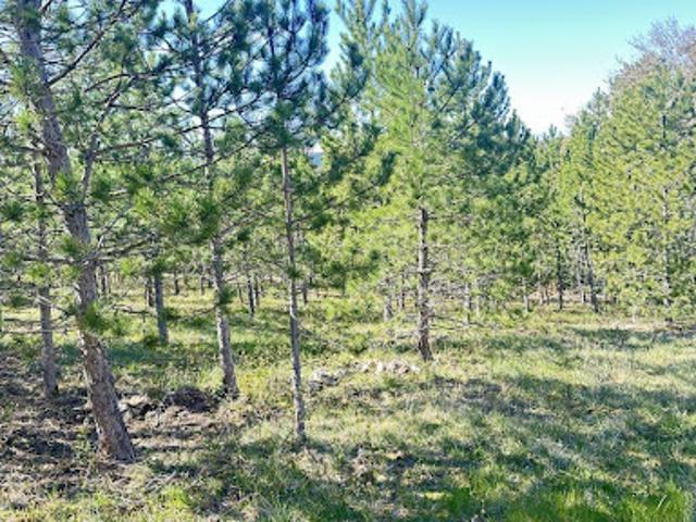 Vente Terrain 512 m2 Mollans sur Ouvèze