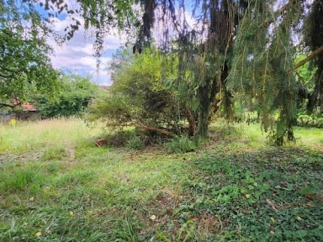 Vente Terrain 514 m2 Cuise la Motte