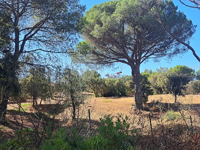 Vente Terrain 515 m2 Frejus