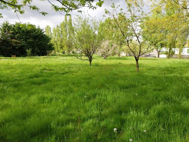 Vente Terrain 516 m2 Landeronde