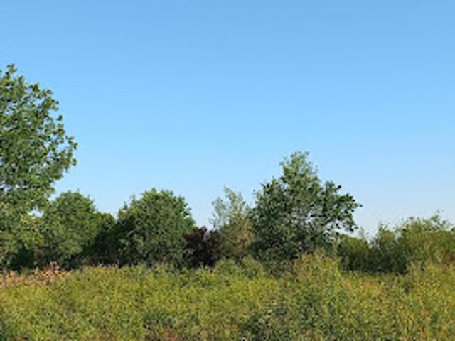 Vente Terrain 5174 m2 Montpon Ménestérol