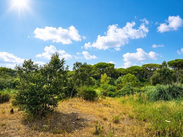 Vente Terrain 518 m2 Frejus