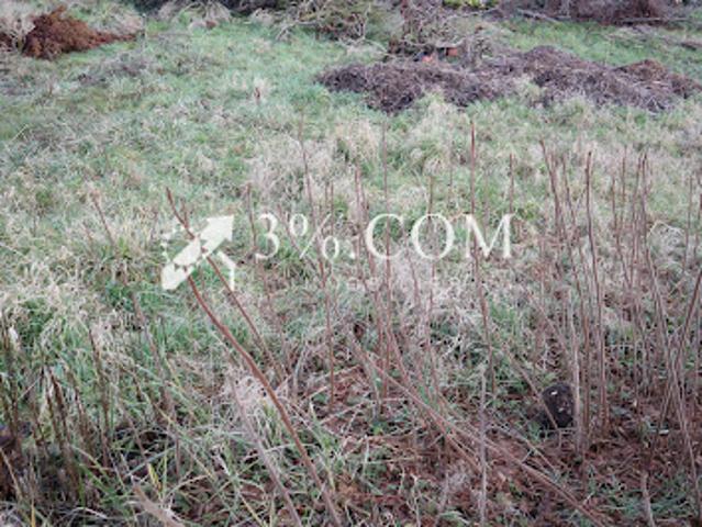Vente Terrain 519 m2 Leforest