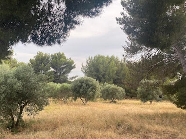 Vente Terrain 519 m2 Saint Chamas
