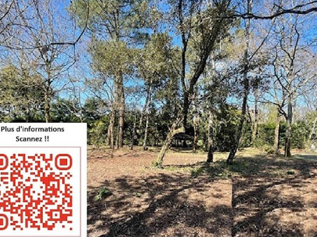 Vente Terrain 519 m2 Saint Jean de Monts