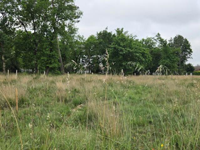 Vente Terrain 520 m2 Parentis en Born