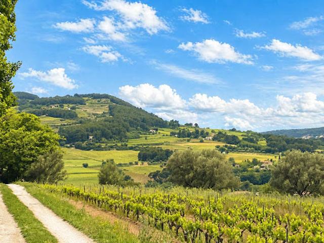 Vente Terrain 522 m2 Le Castellet