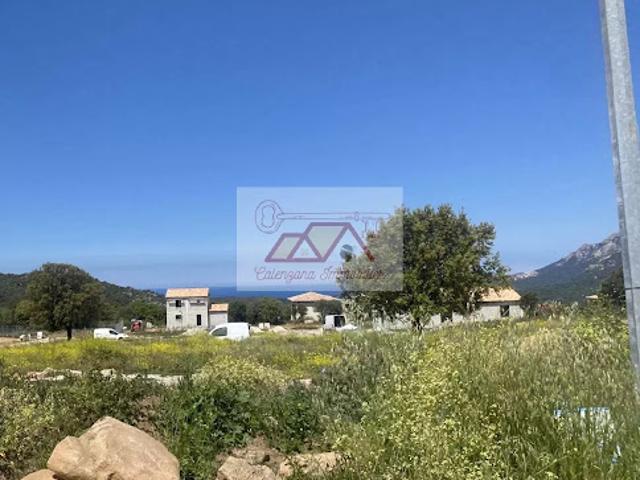 Vente Terrain 527 m2 Calenzana