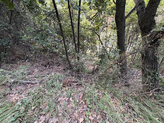 Vente Terrain 524 m2 Gorbio