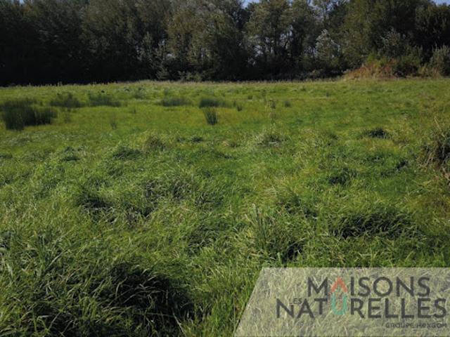 Vente Terrain 524 m2 Sorrus