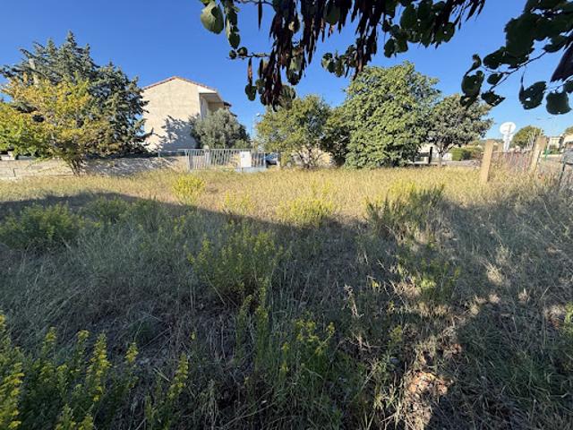 Vente Terrain 525 m2 Lézignan Corbières