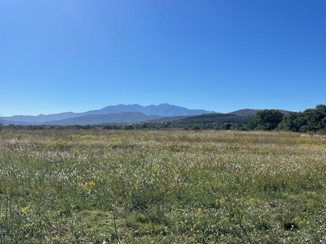 Vente Terrain 525 m2 Llupia