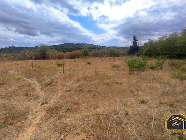 Vente Terrain 5260 m2 Portel des Corbières