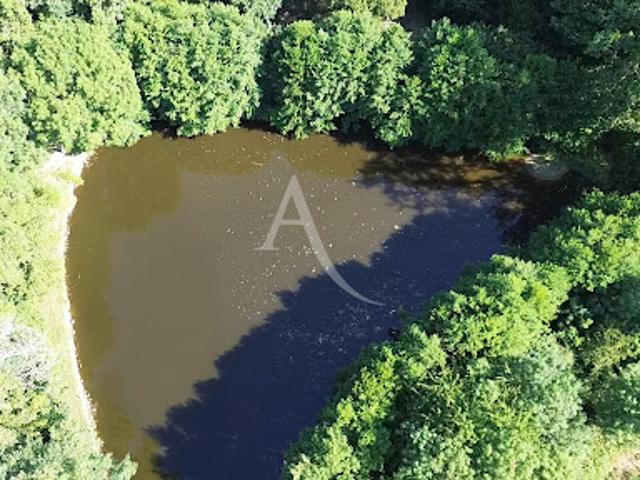 Vente Terrain 5292 m2 Le Poiré sur Vie
