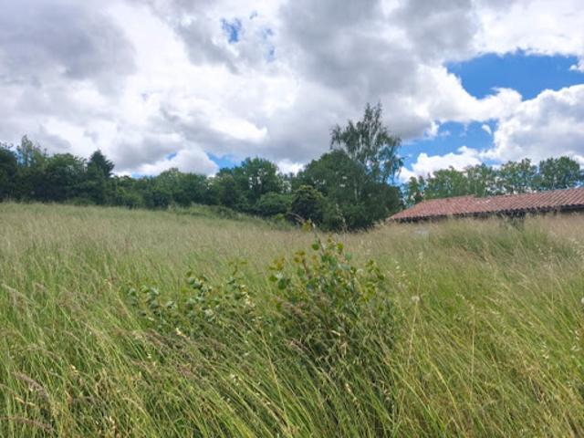 Vente Terrain 533 m2 Brens