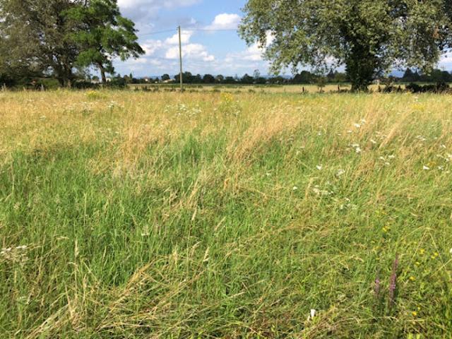 Vente Terrain 530 m2 Bâgé la Ville