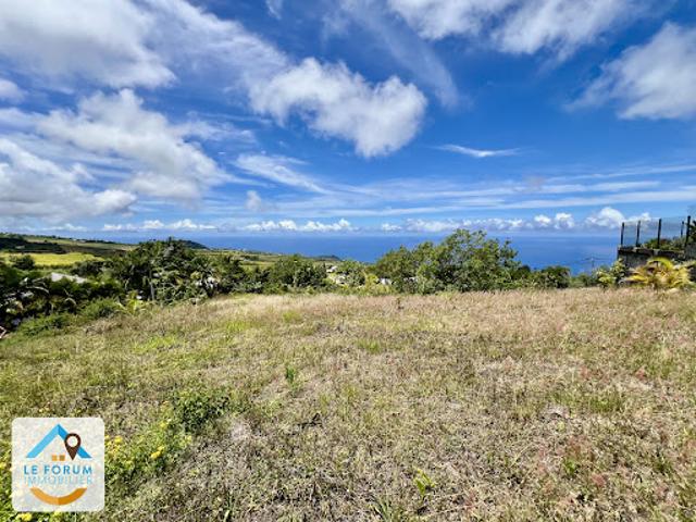 Vente Terrain 530 m2 Saint Pierre
